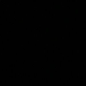 Meet your Posher, Dani